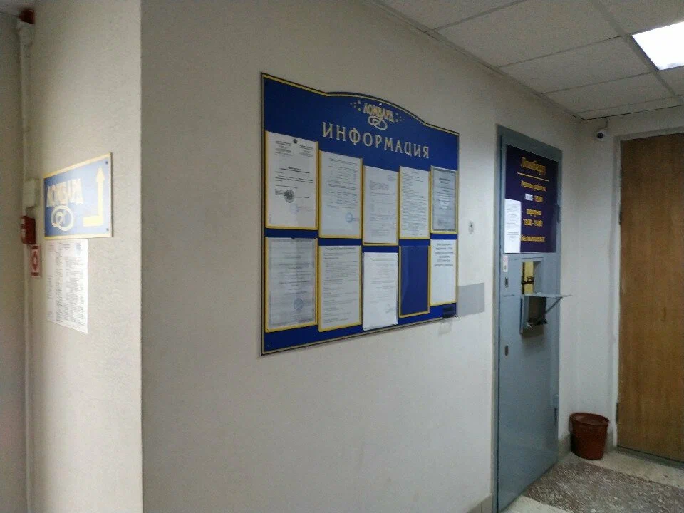 УайтСофт — фото