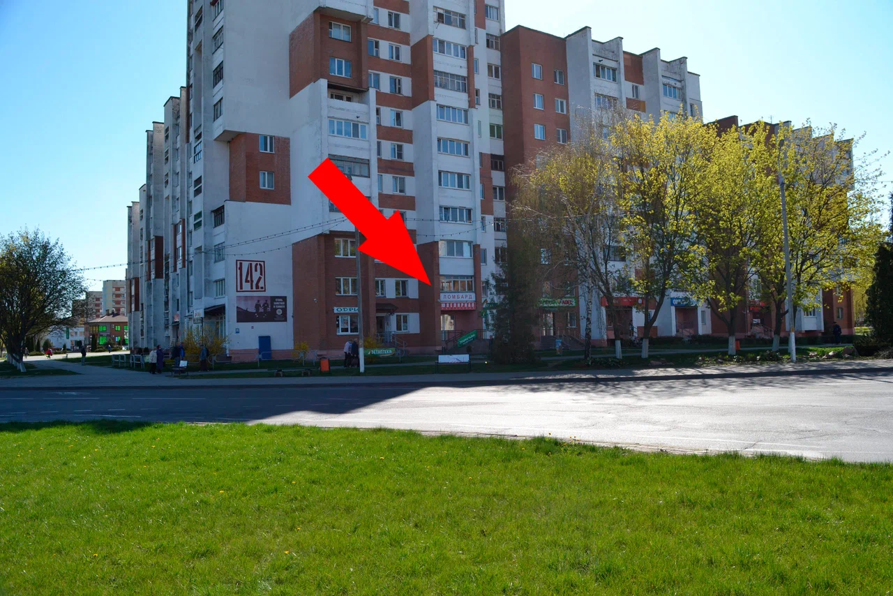 СоЛисПин — фото