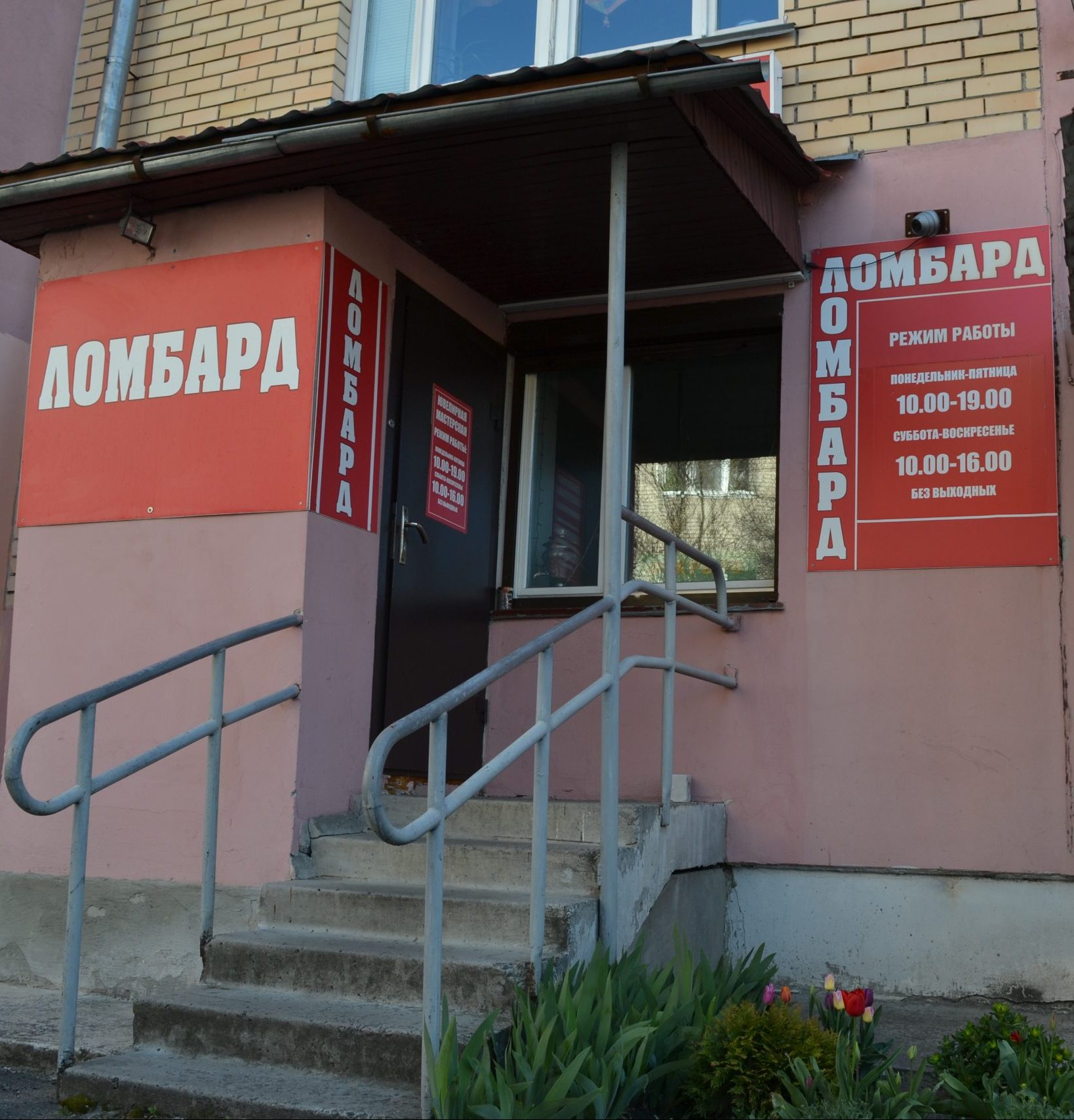 СоЛисПин — фото