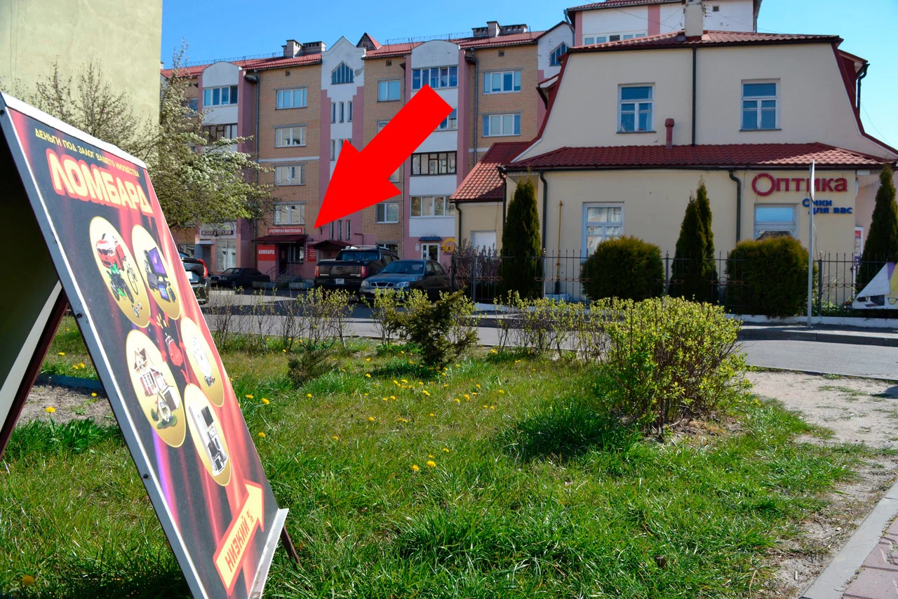 СоЛисПин — фото